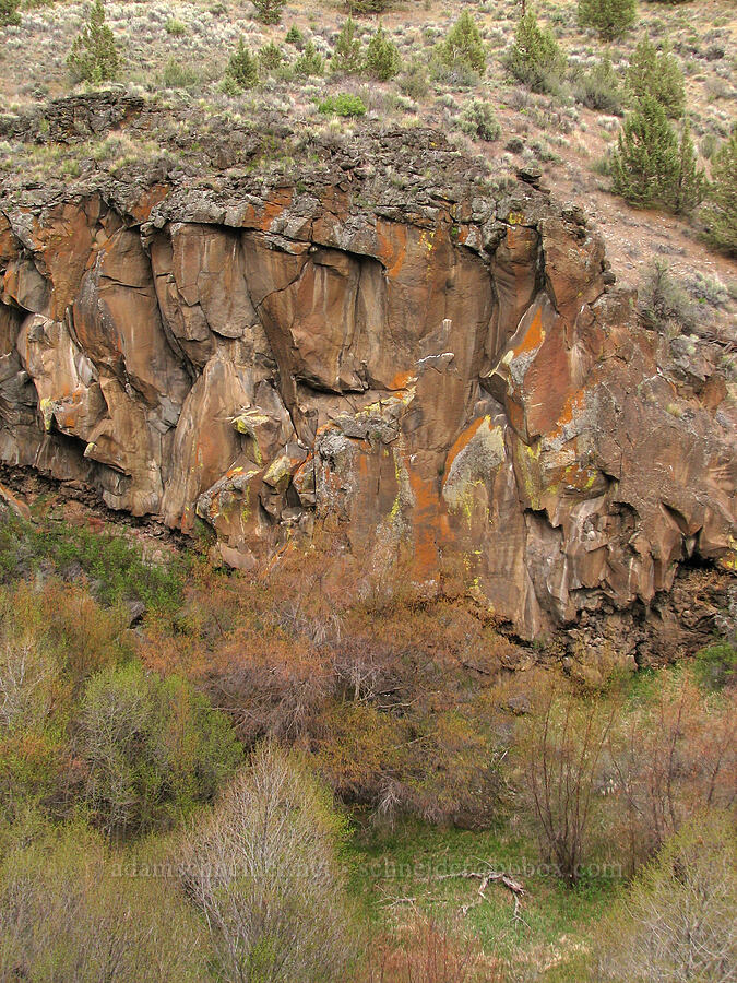 lichen-covered cliffs [Alder Springs Trail, Jefferson County, Oregon]