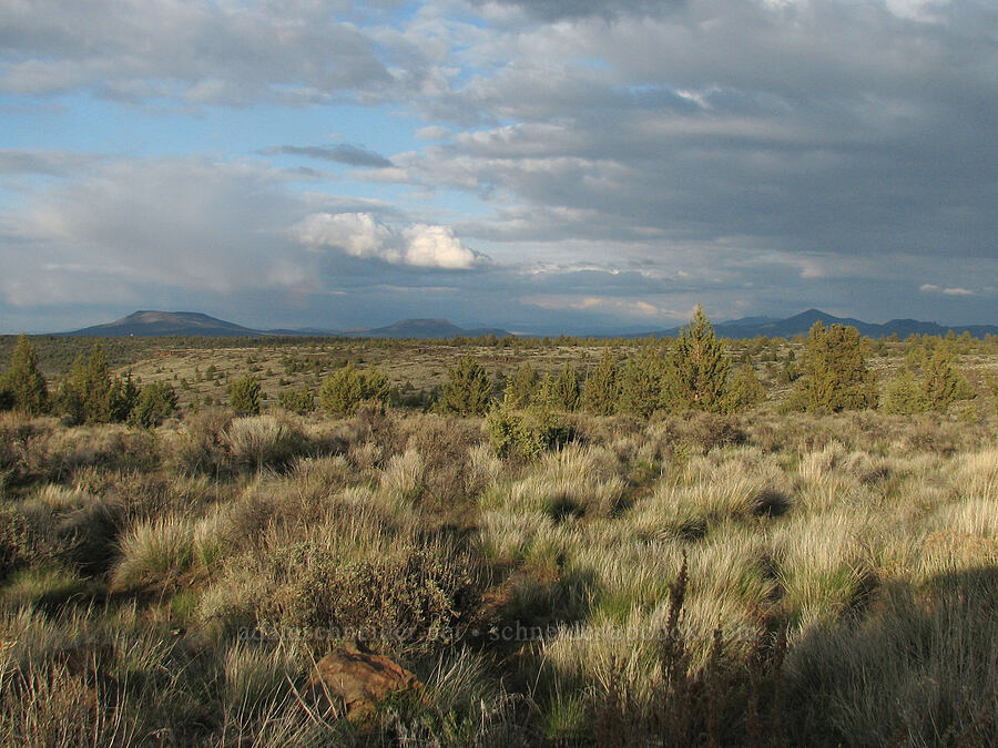 Juniper Butte, Haystack Butte, & Gray Butte [Forest Road 6360, Jefferson County, Oregon]