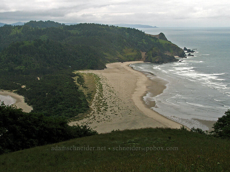 view to the south [Cascade Head Trail, Tillamook County, Oregon]