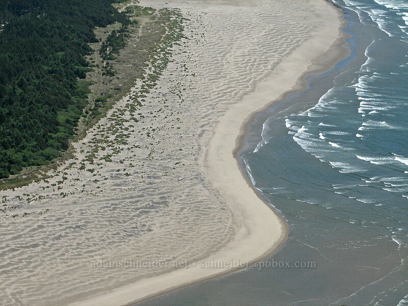 beach at the mouth of the Salmon River [Cascade Head Trail, Tillamook County, Oregon]