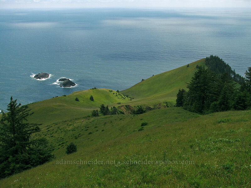 Cascade Head & Three Rocks [Cascade Head Trail, Tillamook County, Oregon]