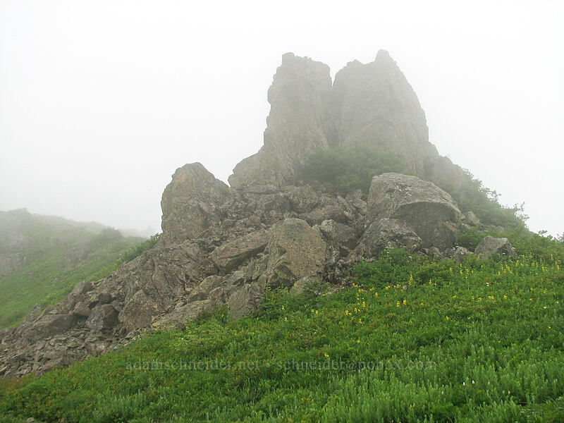 rocky crags [Ed's Trail, Silver Star Mountain, Gifford Pinchot Nat'l Forest, Skamania County, Washington]