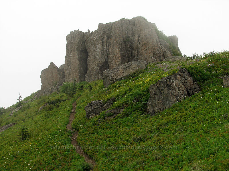 rocky crags [Ed's Trail, Silver Star Mountain, Gifford Pinchot Nat'l Forest, Skamania, Washington]