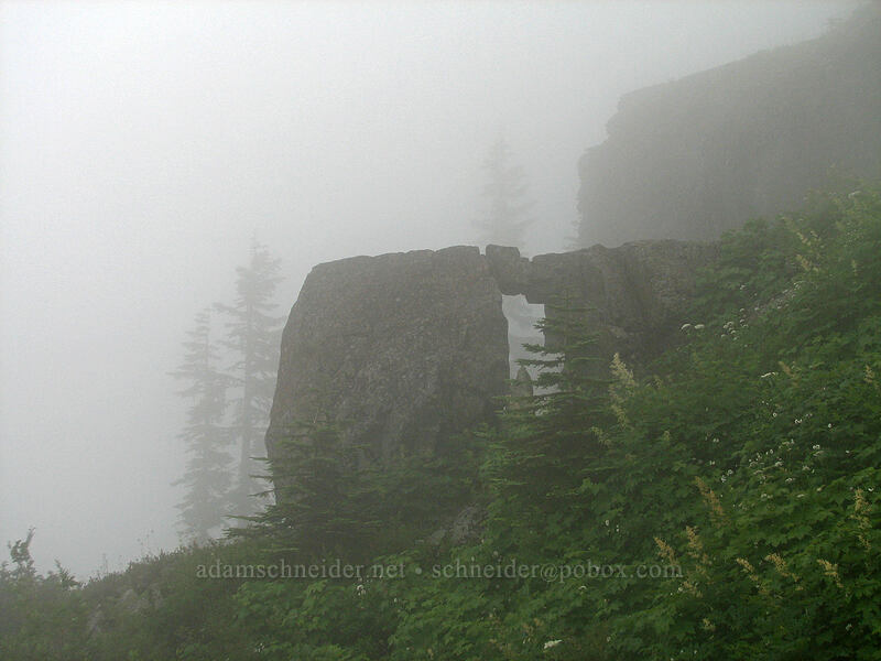 rock arch [Ed's Trail, Silver Star Mountain, Gifford Pinchot Nat'l Forest, Skamania, Washington]