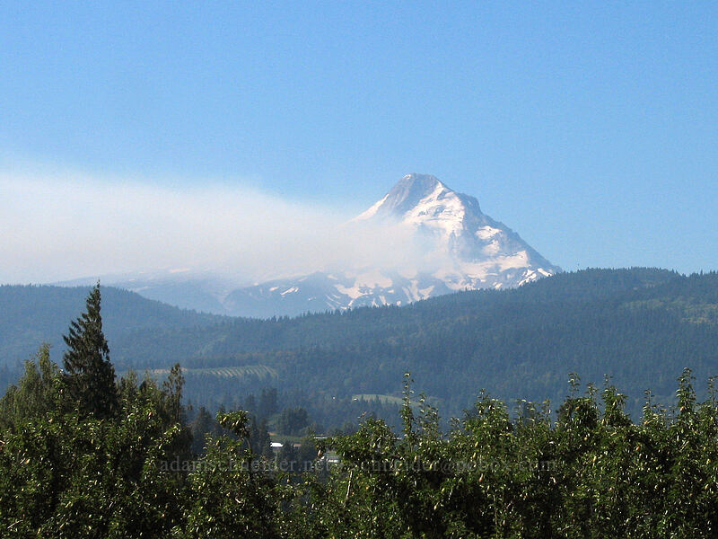 Mount Hood & smoke from the Gnarl Ridge fire [Tucker Road, Hood River, Hood River, Oregon]
