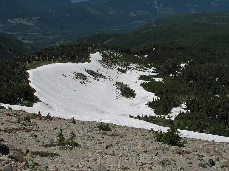 Snowfield south of Wy'east Basin [Barrett Spur Trail, Mt. Hood Wilderness, Hood River, Oregon]