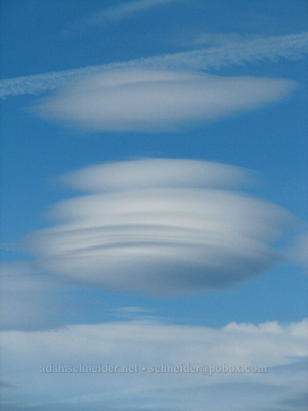 lenticular clouds [north end of Barrett Spur, Mt. Hood Wilderness, Hood River, Oregon]