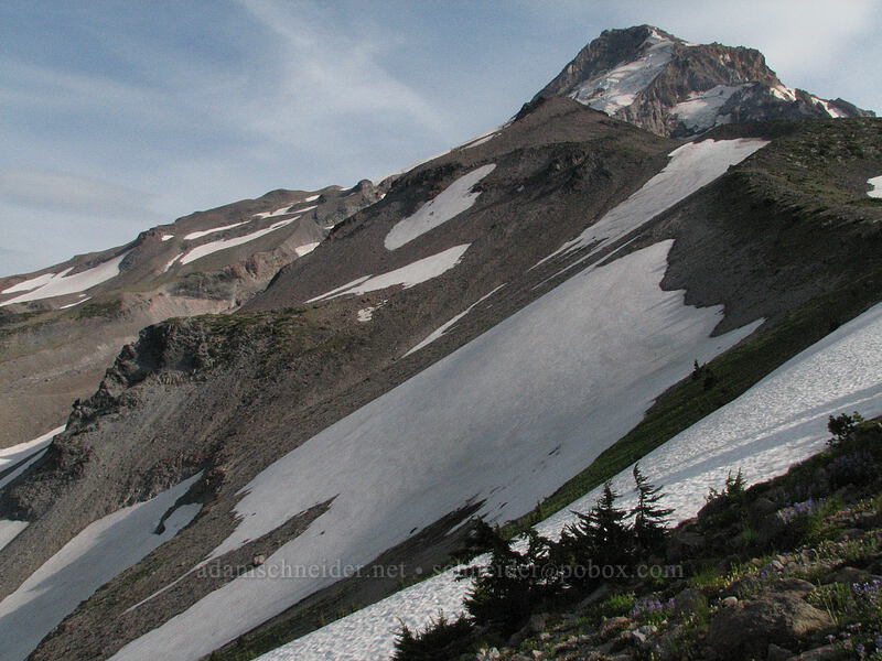 Mount Hood [Barrett Spur-Dollar Lake Trail, Mt. Hood Wilderness, Hood River, Oregon]