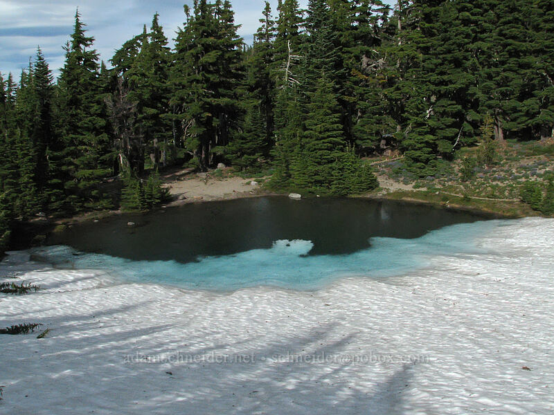 Dollar Lake [Dollar Lake, Mt. Hood Wilderness, Hood River, Oregon]