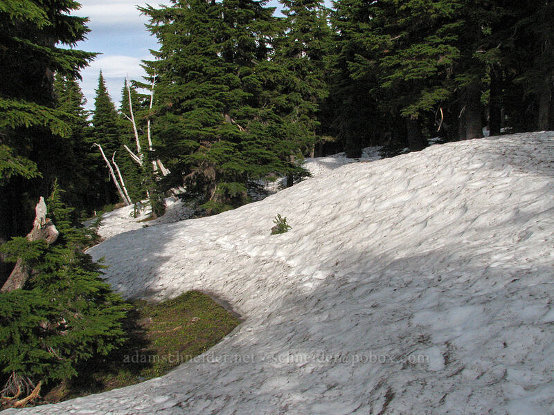 deep snow on the trail [Timberline Trail, Mt. Hood Wilderness, Hood River, Oregon]