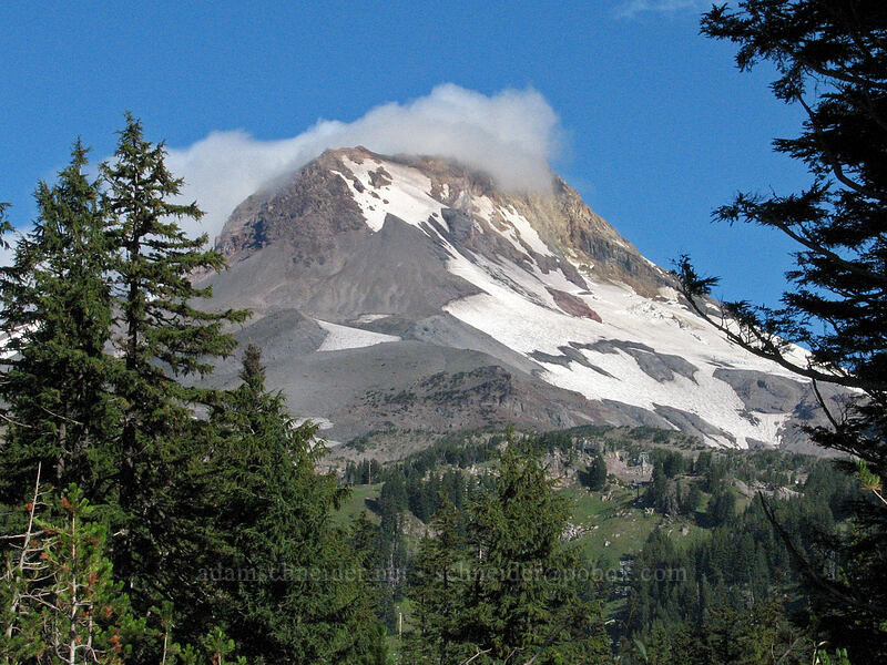 Mount Hood [Mt. Hood Meadows Road, Mt. Hood National Forest, Hood River, Oregon]