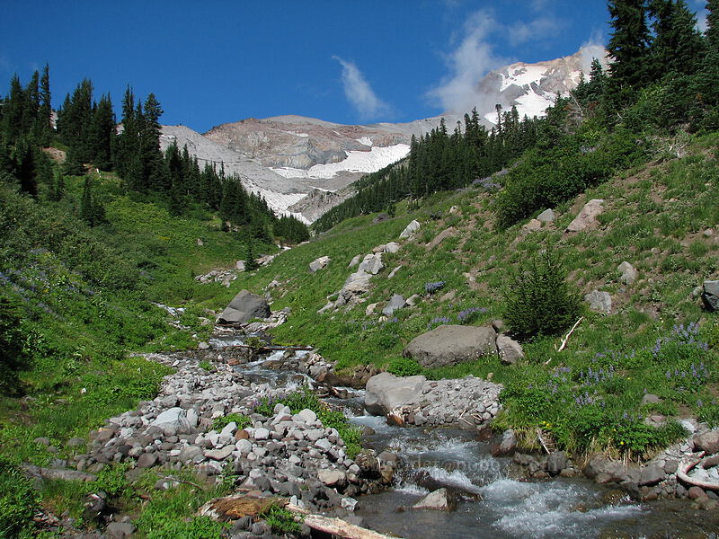 Clark Creek [Timberline Trail, Mt. Hood National Forest, Hood River, Oregon]