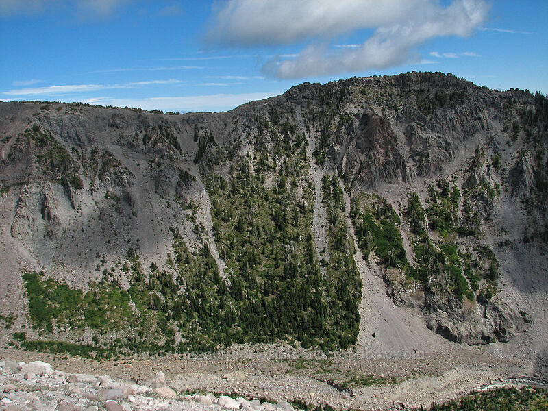 Gnarl Ridge & Lamberson Butte [Newton-Clark Ridge, Mt. Hood National Forest, Hood River, Oregon]