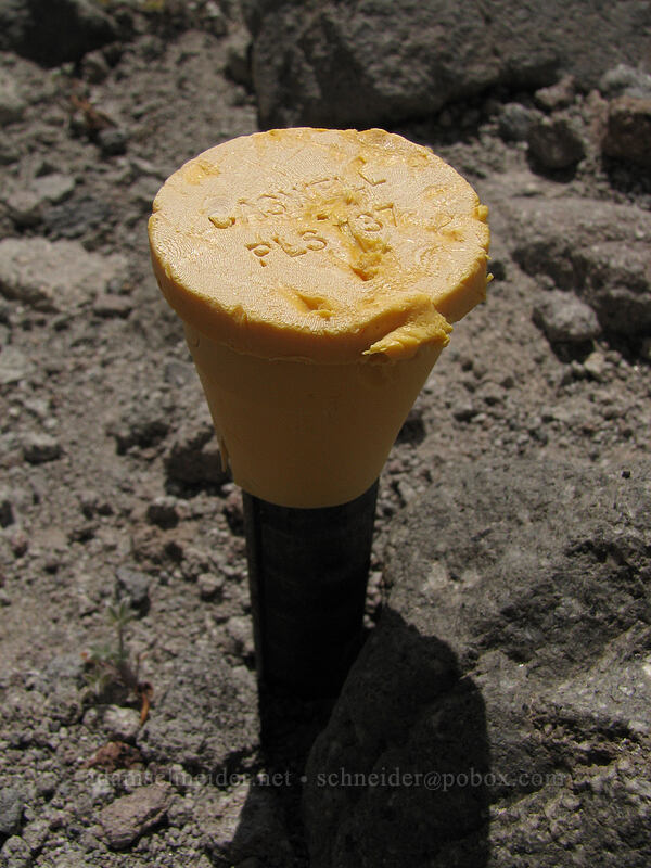 surveying marker [Newton-Clark Ridge, Mt. Hood National Forest, Hood River, Oregon]
