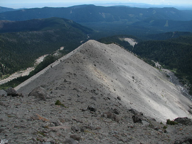 Newton-Clark Ridge [Newton-Clark Ridge, Mt. Hood National Forest, Hood River, Oregon]