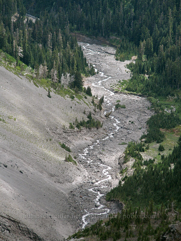 Clark Creek [Newton-Clark Ridge, Mt. Hood National Forest, Hood River, Oregon]