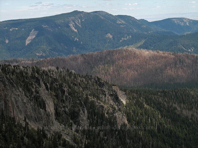 burned forest beyond Gnarl Ridge [Newton-Clark Ridge, Mt. Hood National Forest, Hood River, Oregon]