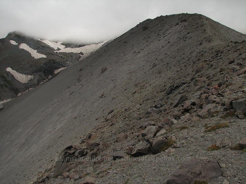 looking back up the ridge [Newton-Clark Ridge, Mt. Hood National Forest, Hood River, Oregon]