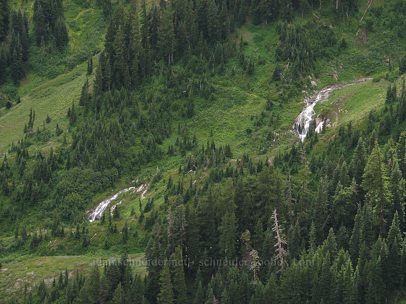 cascades [Newton-Clark Ridge, Mt. Hood National Forest, Hood River, Oregon]