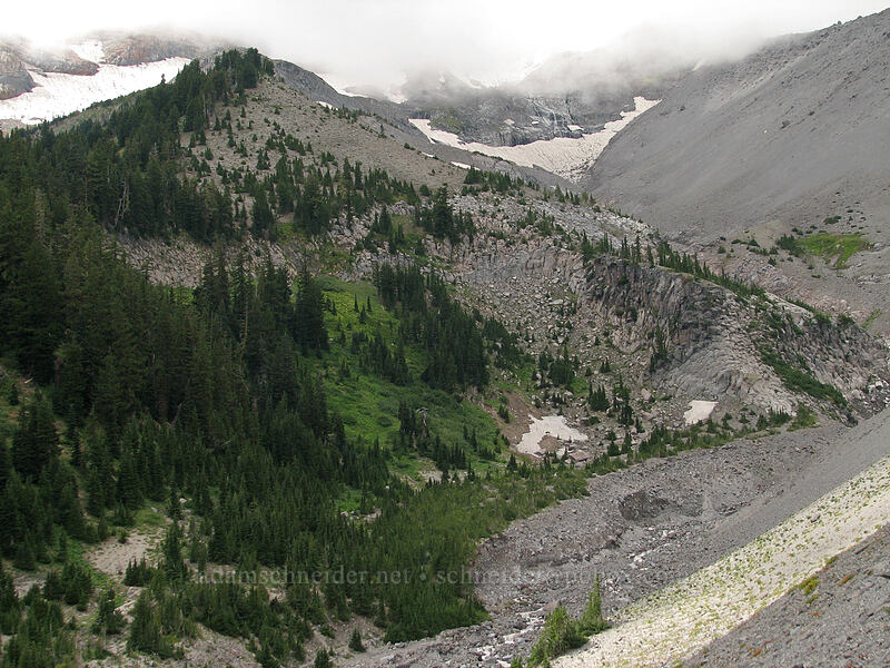 Heather Canyon [TImberline Trail, Mt. Hood National Forest, Hood River, Oregon]