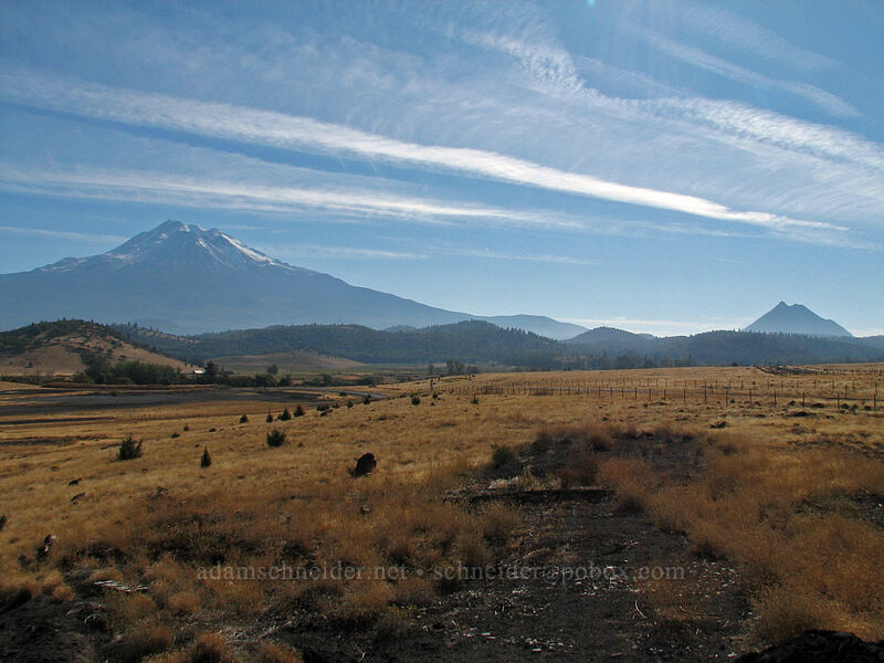 Mt. Shasta & Black Butte [Edgewood Road, Siskiyou County, California]