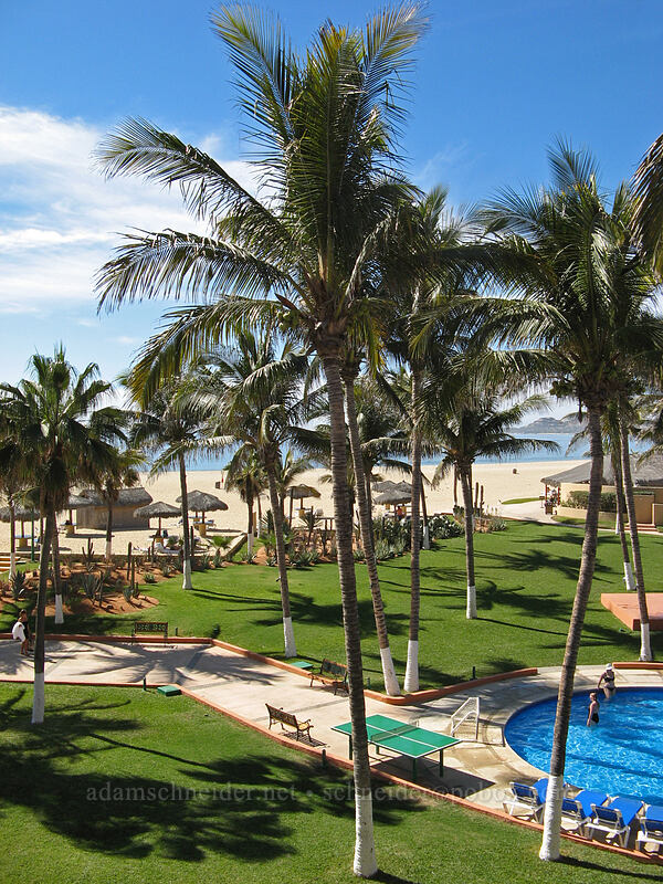 view from our room [El Presidente Hotel, San Jose del Cabo, Los Cabos, Baja California Sur, Mexico]