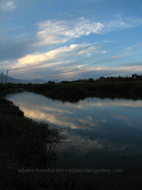 dusk on the estuary [Estero San Jose, San Jose del Cabo, Los Cabos, Baja California Sur, Mexico]