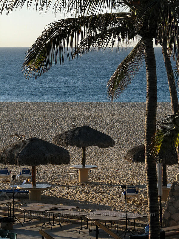 palapas [El Presidente Hotel, San Jose del Cabo, Los Cabos, Baja California Sur, Mexico]