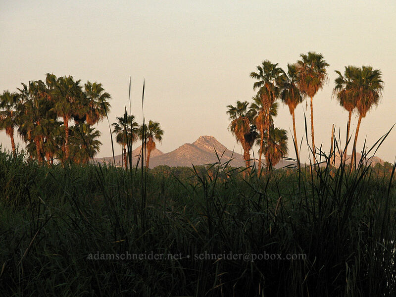 sunset on Cerros de la Laguna [Estero San Jose, San Jose del Cabo, Los Cabos, Baja California Sur, Mexico]