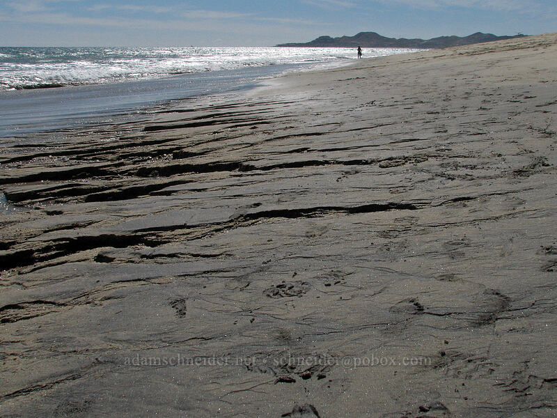 fresh water leaking through the beach [Estero San Jose, San Jose del Cabo, Los Cabos, Baja California Sur, Mexico]