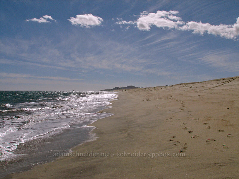 view to the southwest [Estero San Jose, San Jose del Cabo, Los Cabos, Baja California Sur, Mexico]