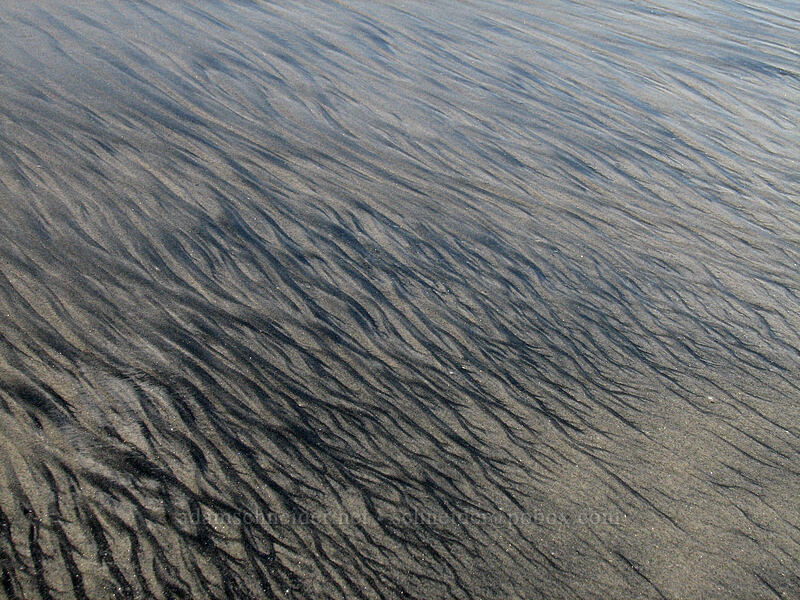 patterns in the sand [Estero San Jose, San Jose del Cabo, Los Cabos, Baja California Sur, Mexico]