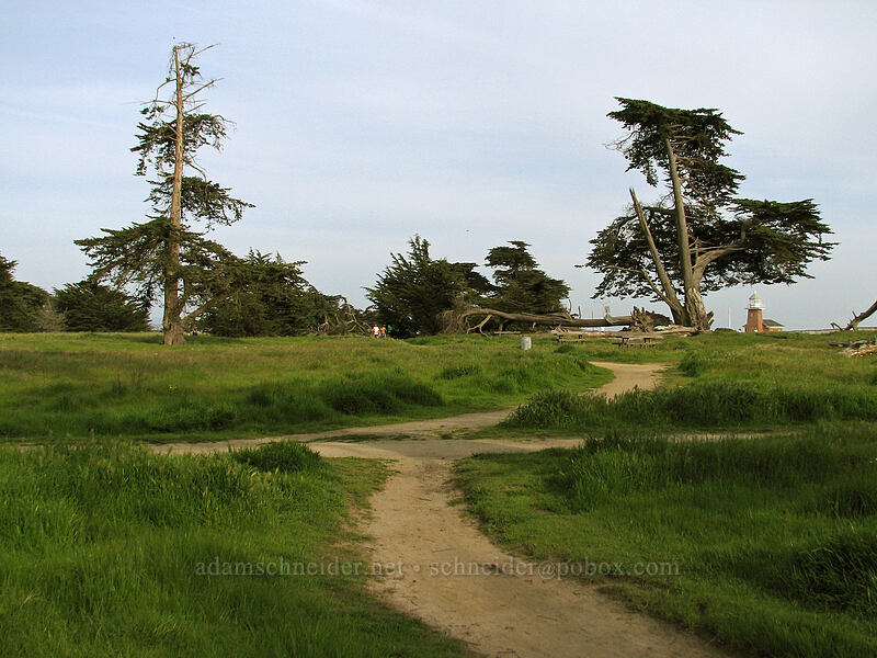Lighthouse Field State Beach [Lighthouse Field, Santa Cruz, Santa Cruz County, California]