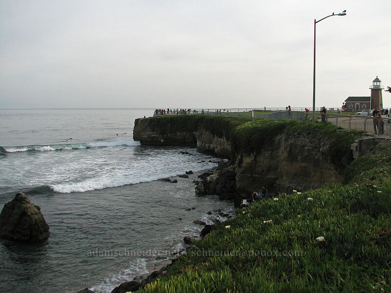 Steamer Lane [West Cliff Drive, Santa Cruz, Santa Cruz County, California]