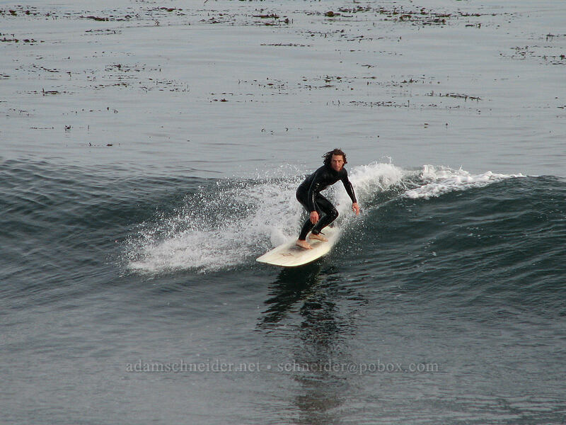 surfer [West Cliff Drive, Santa Cruz, Santa Cruz County, California]