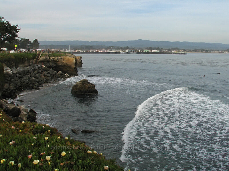 Steamer Lane [West Cliff Drive, Santa Cruz, Santa Cruz County, California]