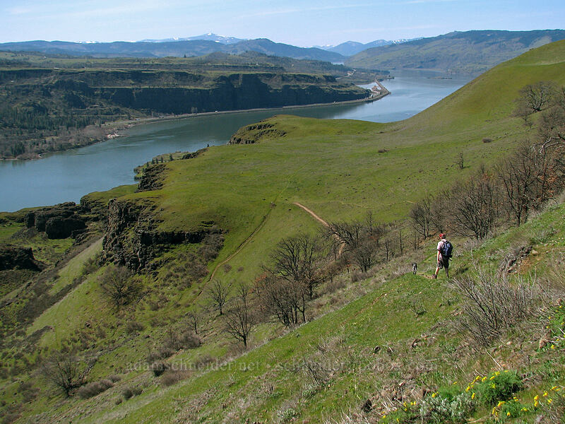 the upper 