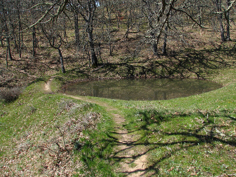 small pond next to the trail [Cherry Orchard Trail, Lyle, Klickitat County, Washington]