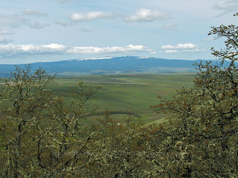 Klickitat Valley & Simcoe Mountains [Columbia Hills Natural Area Preserve, Klickitat County, Washington]