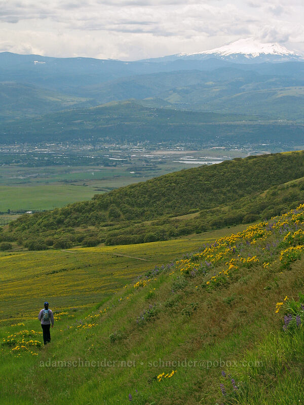 Mount Hood, The Dalles, & Teresa [Columbia Hills Natural Area Preserve, Klickitat County, Washington]