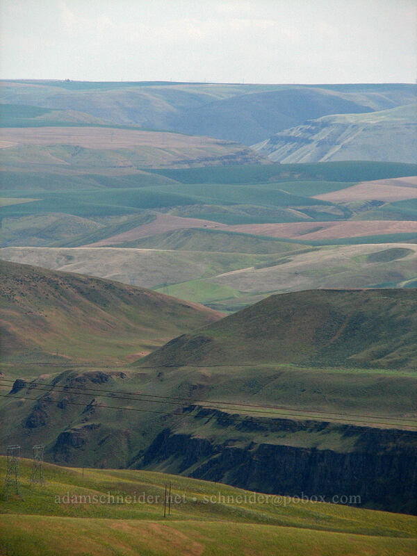 hills & valleys of Central Oregon [Columbia Hills Natural Area Preserve, Klickitat County, Washington]