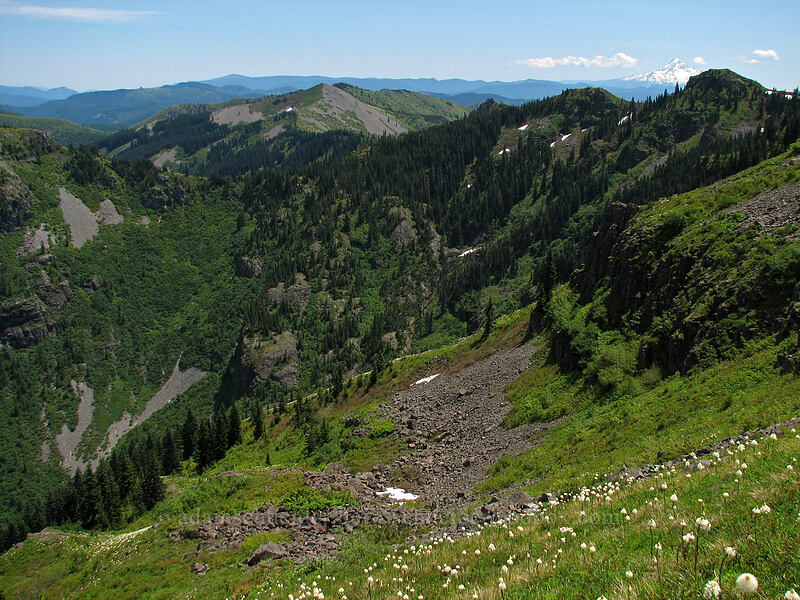 Star Creek Canyon [Ed's Trail, Silver Star Mountain, Gifford Pinchot Nat'l Forest, Skamania County, Washington]
