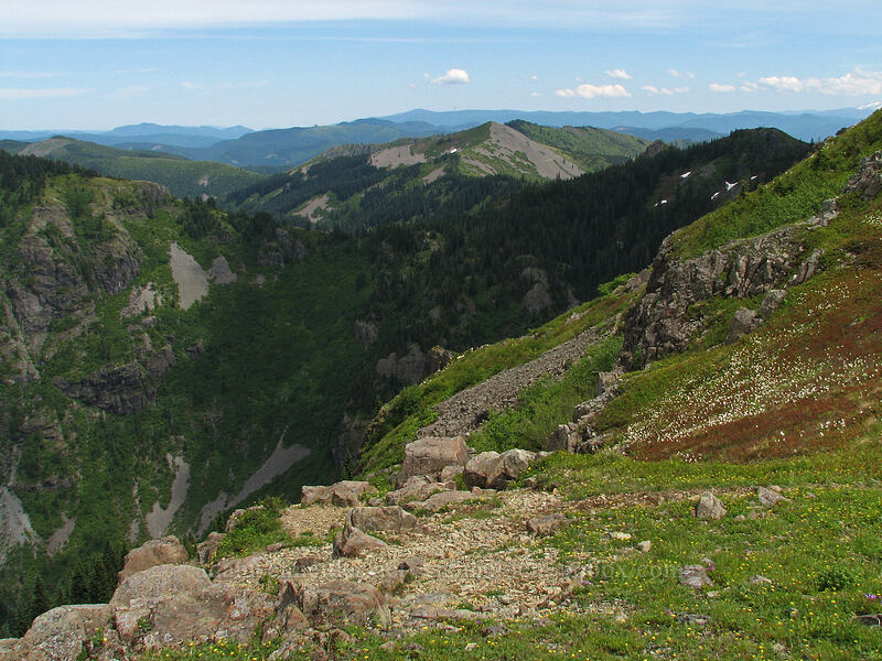 Star Creek Canyon & Little Baldy [Silver Star Mountain trail, Gifford Pinchot Nat'l Forest, Skamania County, Washington]