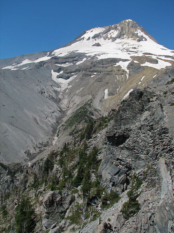 Mount Hood & Newton Creek Canyon [Gnarl Ridge, Mt. Hood Wilderness, Hood River County, Oregon]