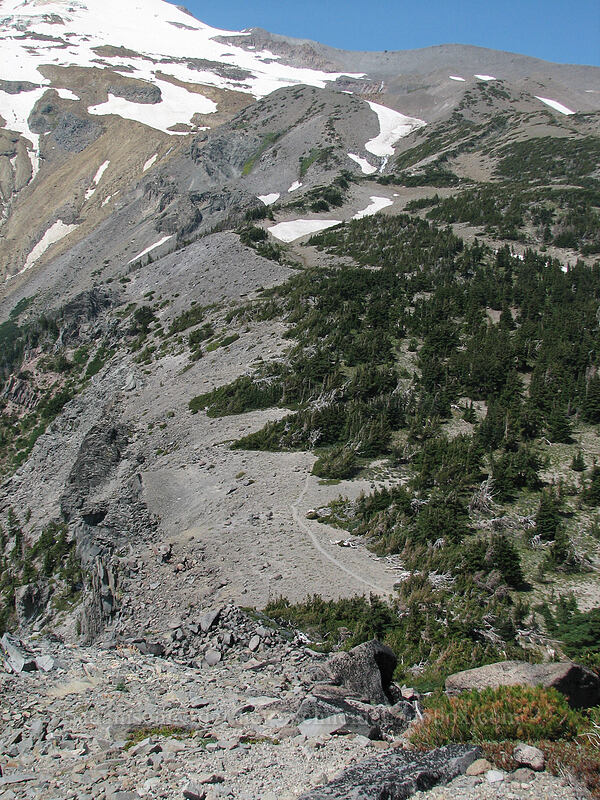 Gnarl Ridge & the Timberline Trail from above [Lamberson Butte, Mt. Hood Wilderness, Hood River County, Oregon]