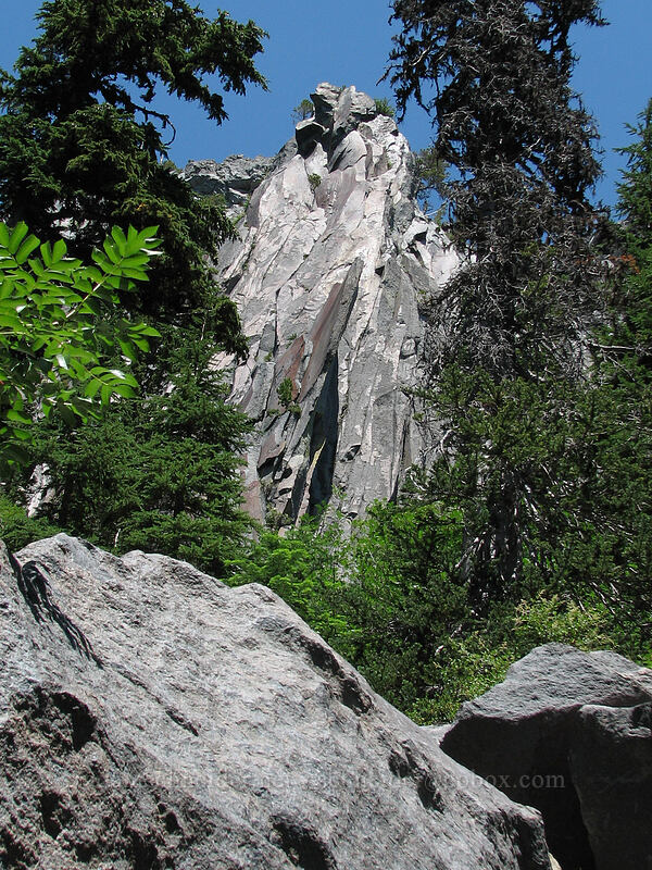 twisted lava [Timberline Trail, Mt. Hood Wilderness, Hood River County, Oregon]