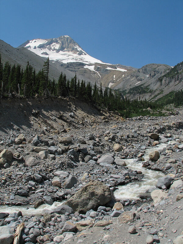 Mount Hood & Newton Creek [Timberline Trail, Mt. Hood Wilderness, Hood River County, Oregon]