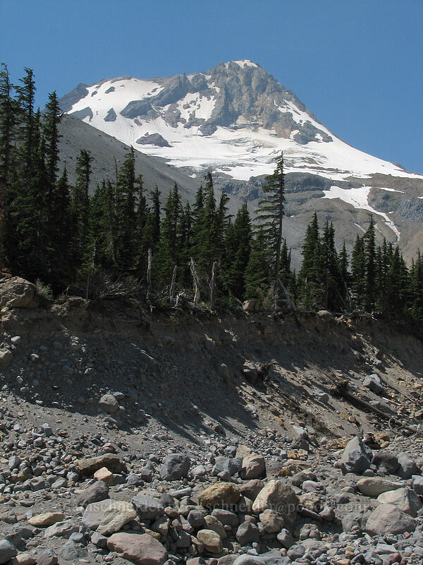 Mount Hood & Newton Creek [Timberline Trail, Mt. Hood Wilderness, Hood River County, Oregon]