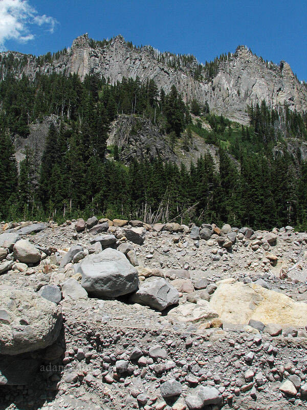 Lamberson Butte [Timberline Trail, Mt. Hood Wilderness, Hood River County, Oregon]