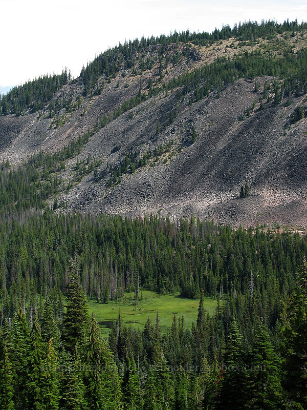 scree-covered slopes above wetlands [Pacific Crest Trail, Mt. Jefferson Wilderness, Marion County, Oregon]